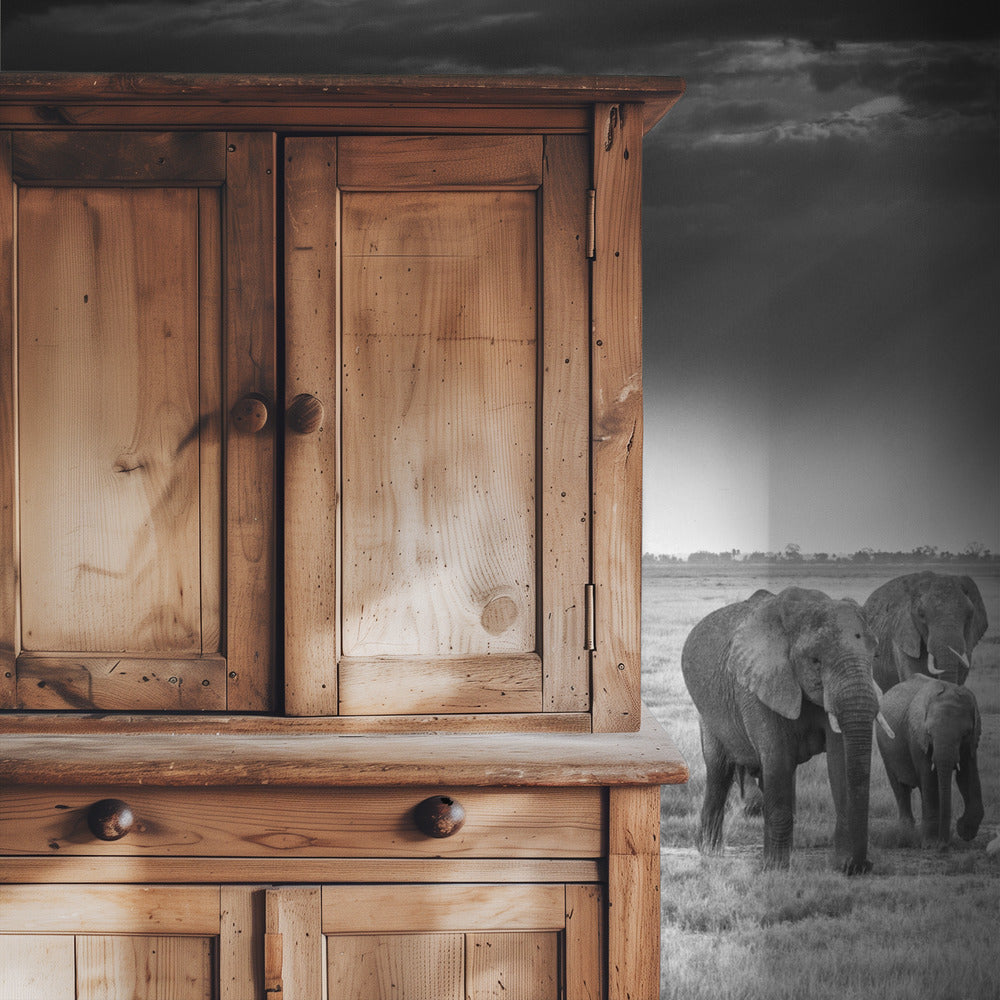 Breakfast with pachyderms | Wallpaper