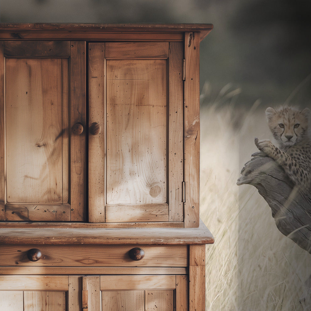 Curious Kitties | Wallpaper