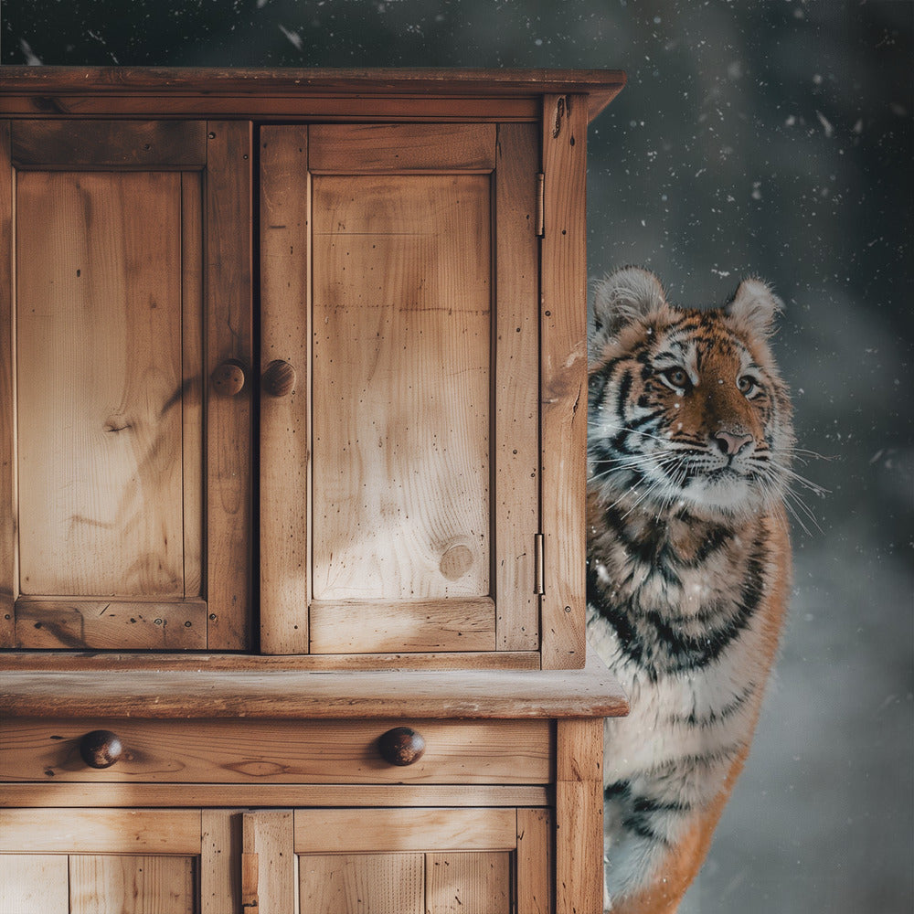 The Siberian tiger | Wallpaper