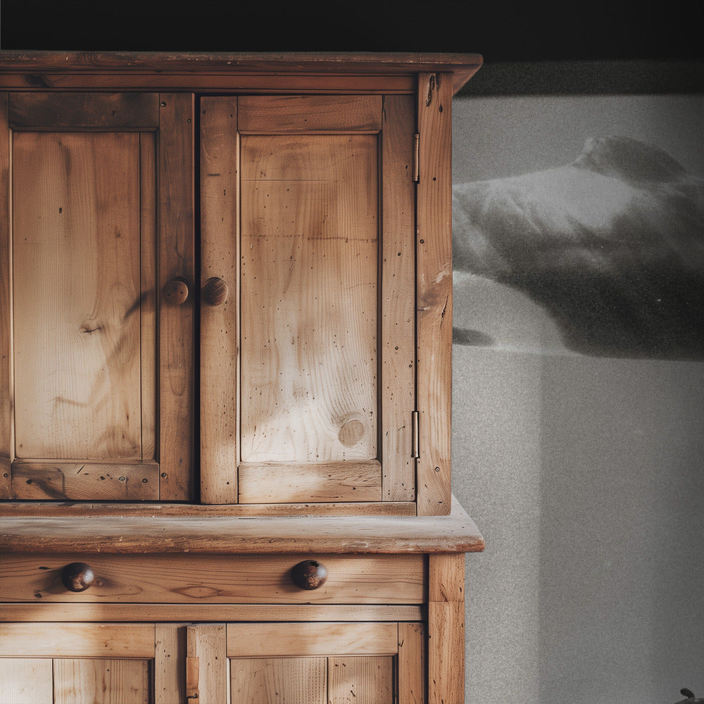 Within the Orca's Domain | Wallpaper