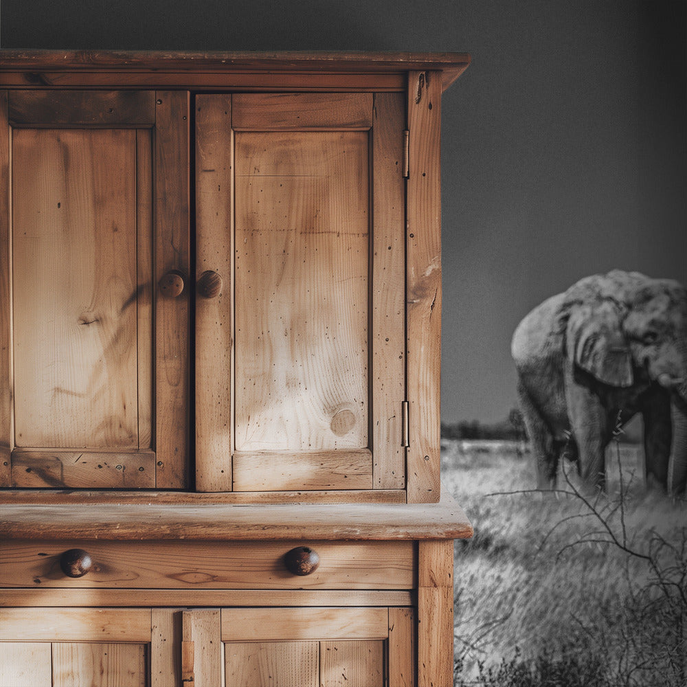 Elephant fields | Wallpaper