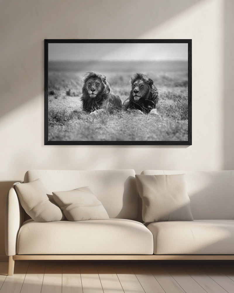 Two kings | Canvas