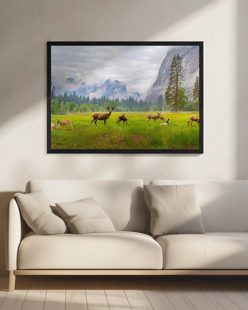 A Feeling of Ancient Time | Canvas