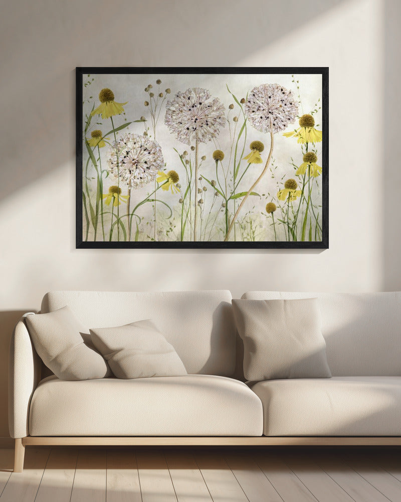 Alliums and heleniums | Canvas