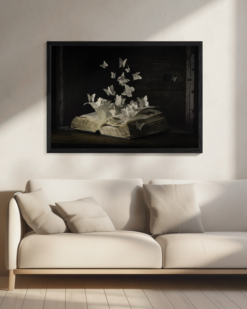 Lepidopterology | Canvas