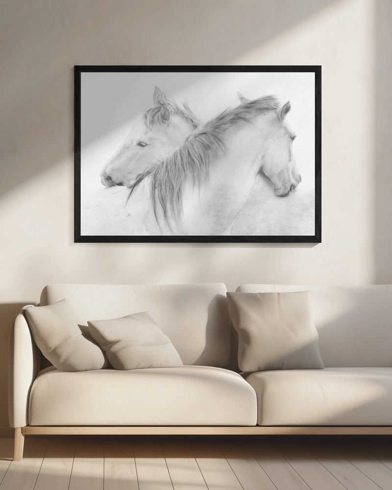 Horses | Canvas