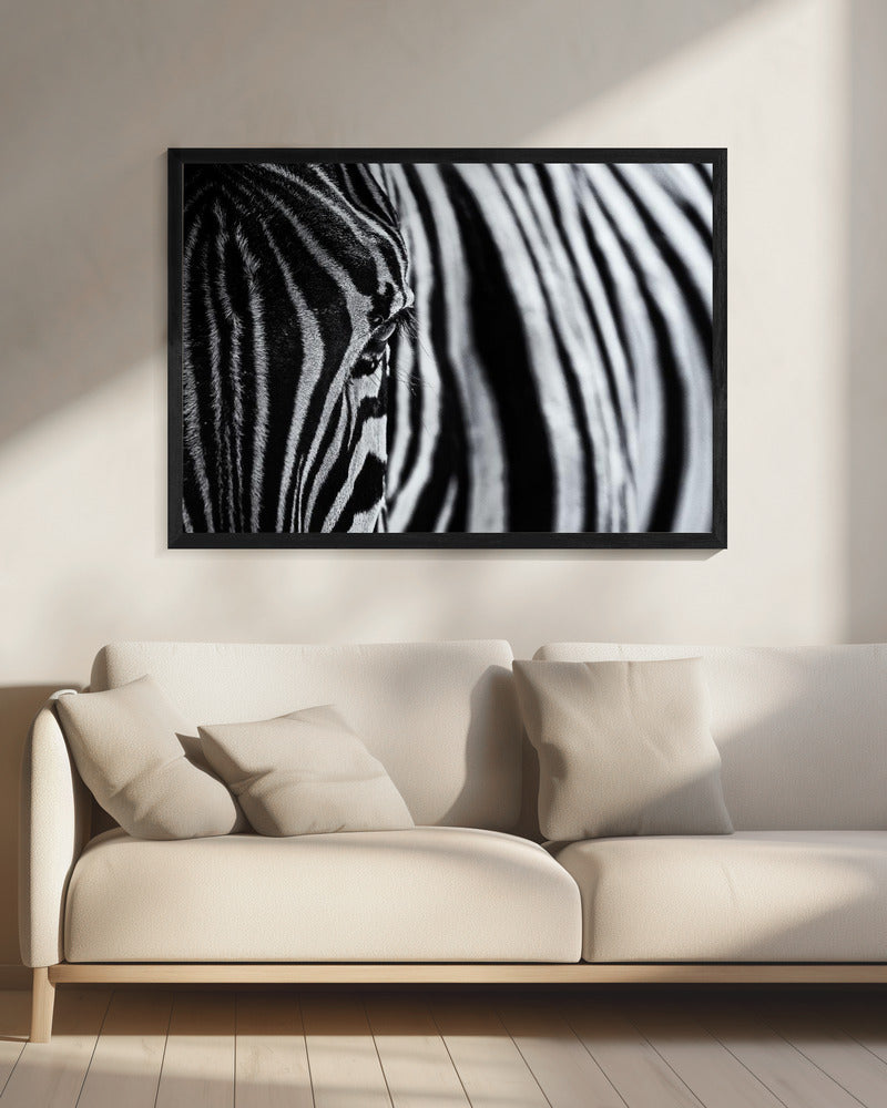 The look of nature | Canvas