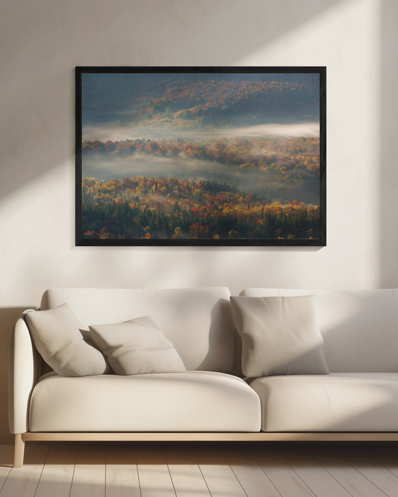 Misty Morning | Canvas