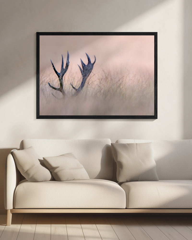 Hide & Seek  ( Horn of Stag) | Canvas