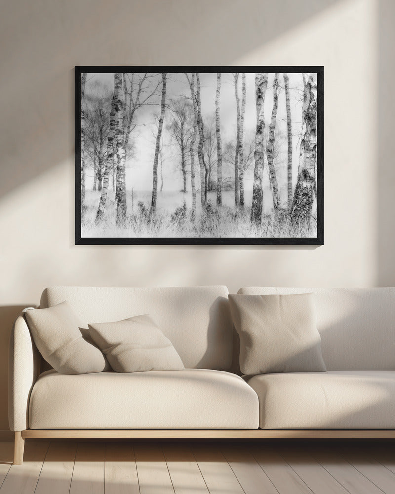 Black and white | Canvas