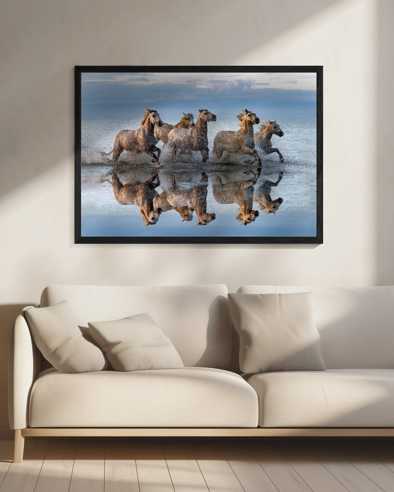 Horses and reflection | Canvas