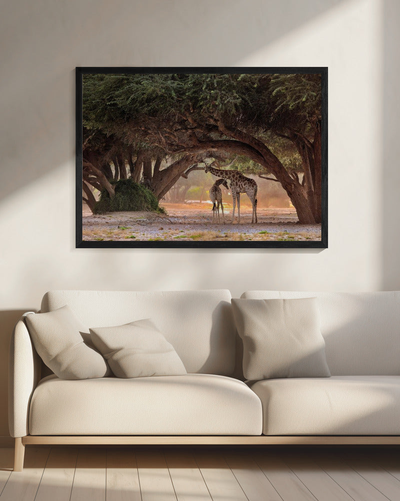 Giraffe - Namibia | Canvas