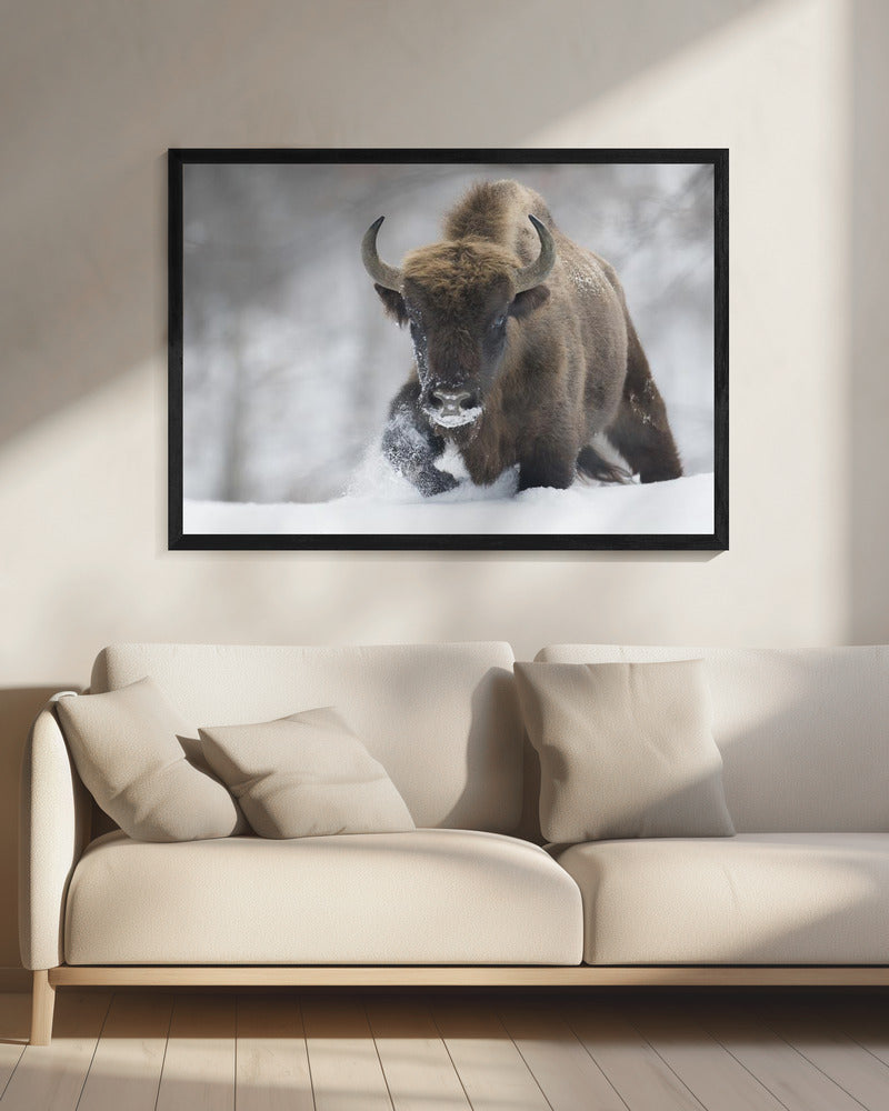 Rewilded | Canvas