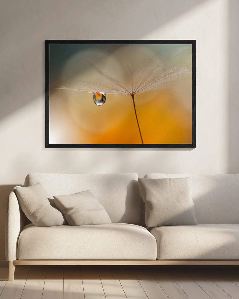 Little Night Music... | Canvas