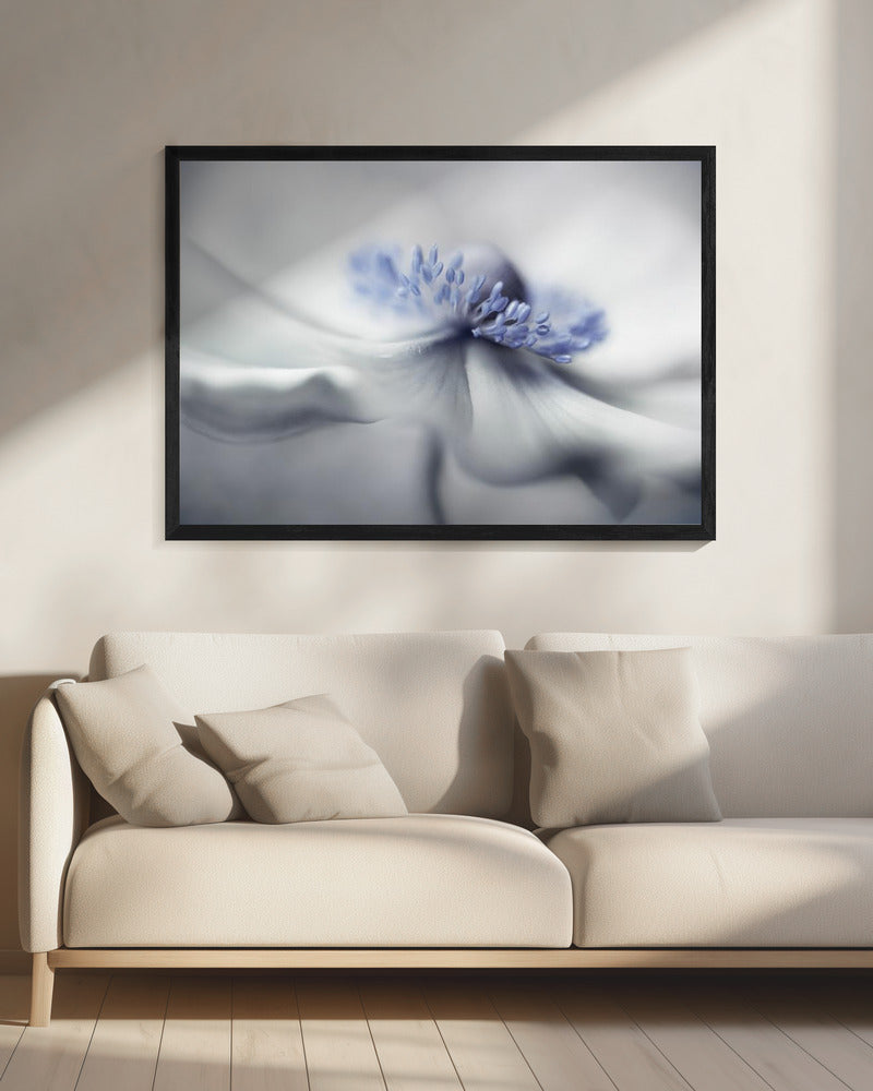 Anemone spirit | Canvas