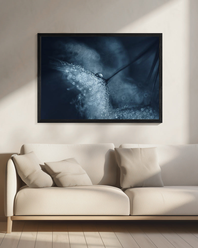 Blue dandelions | Canvas