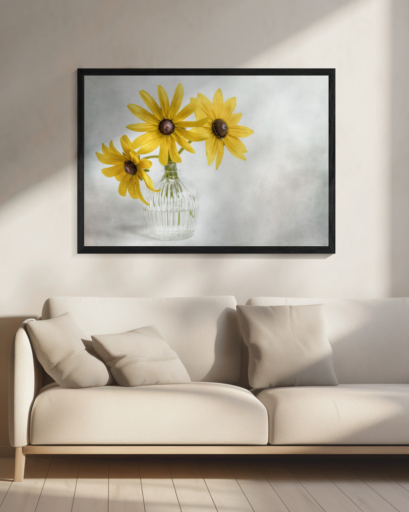 Rudbeckia | Canvas