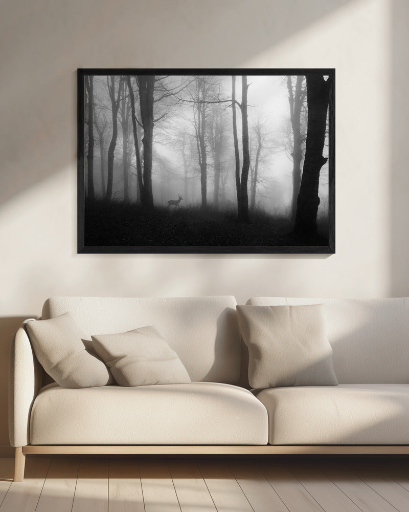 forest | Canvas