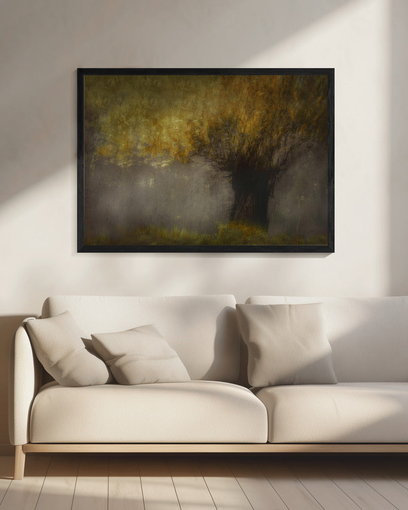 Pollard willow | Canvas