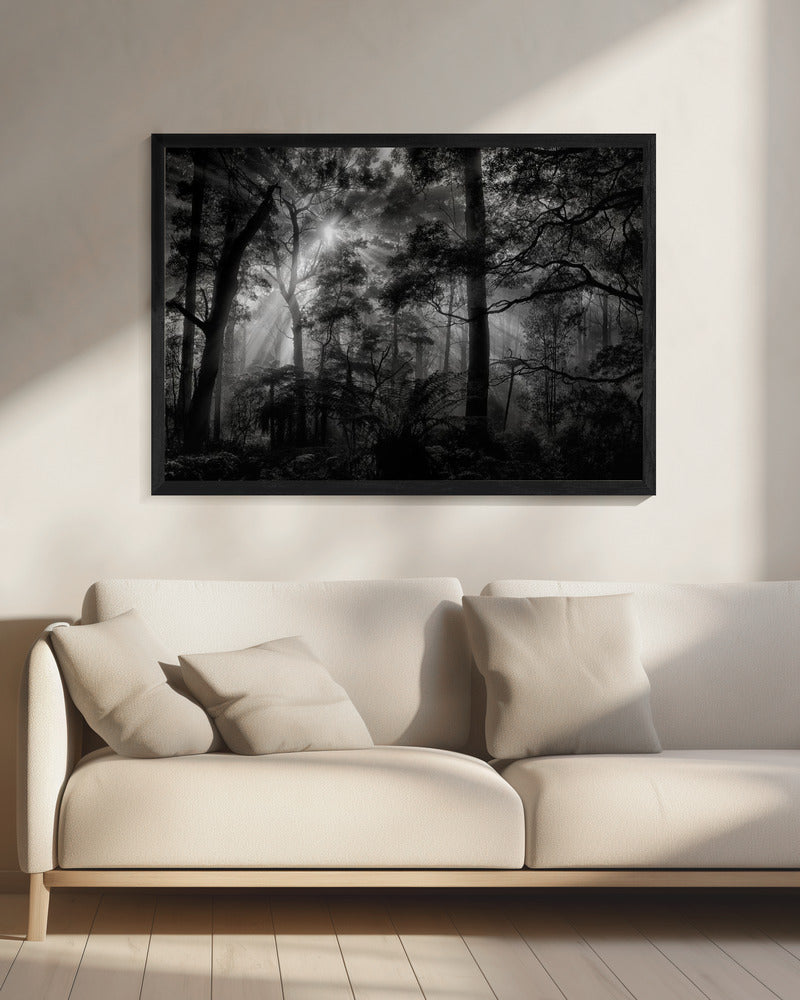 Primary forest | Canvas