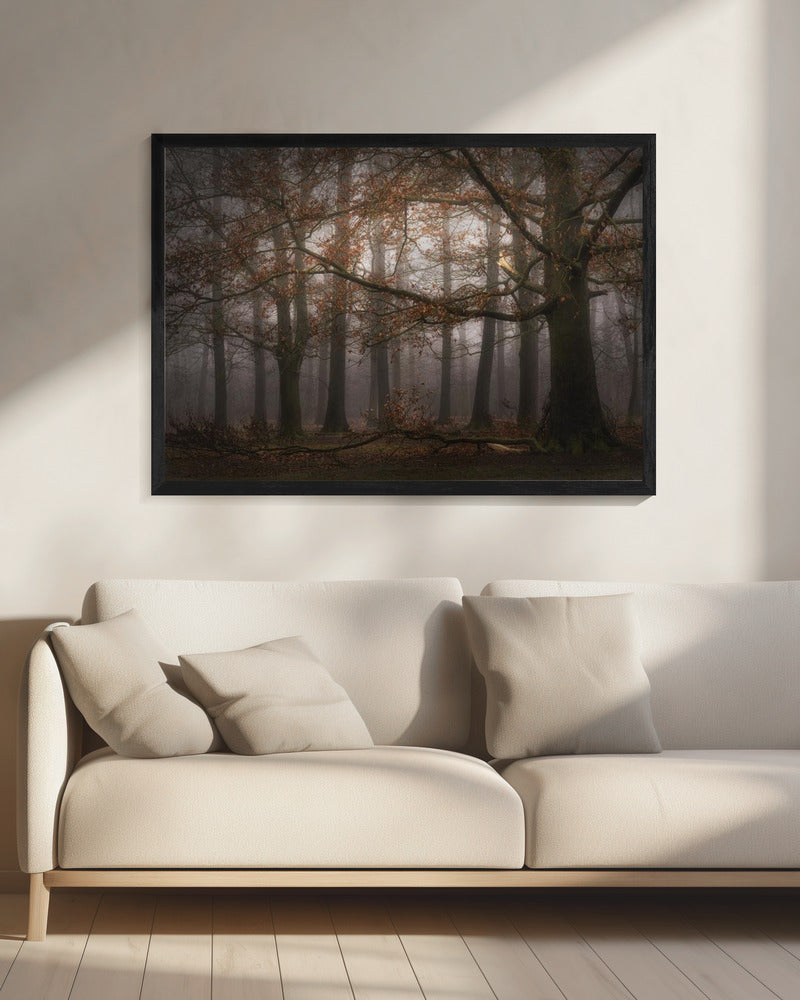 Foggy memory of the past | Canvas
