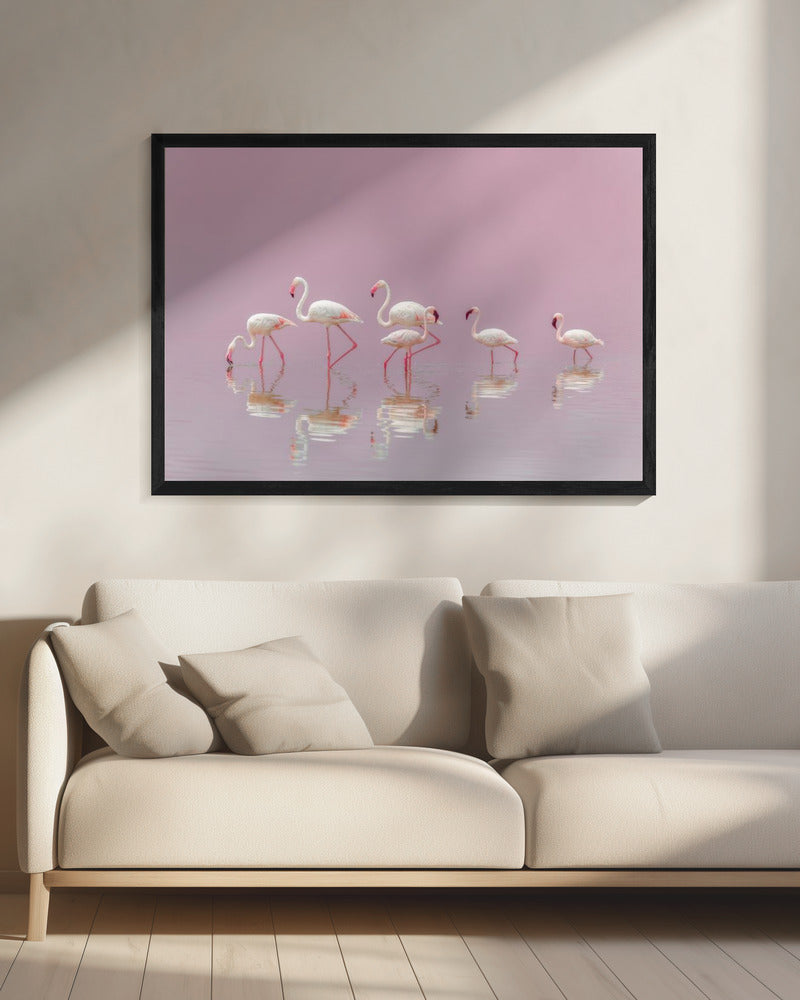 Flamingos | Canvas