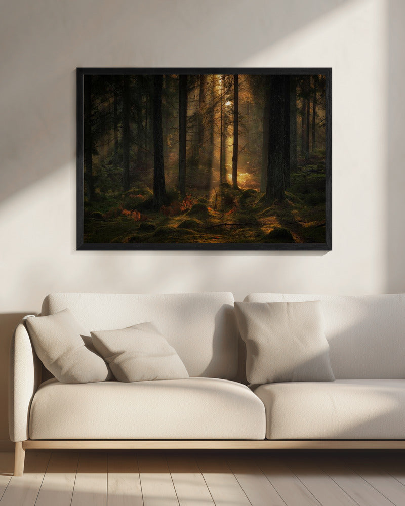 The light in the forest | Canvas
