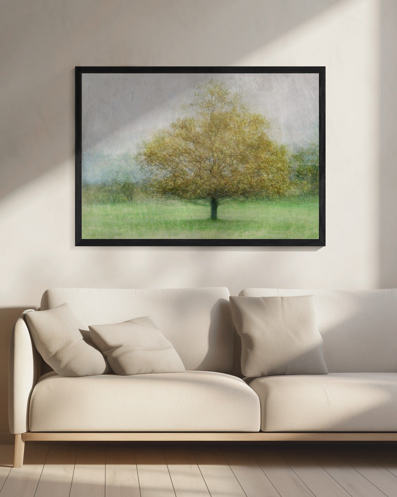 Solitaire | Canvas