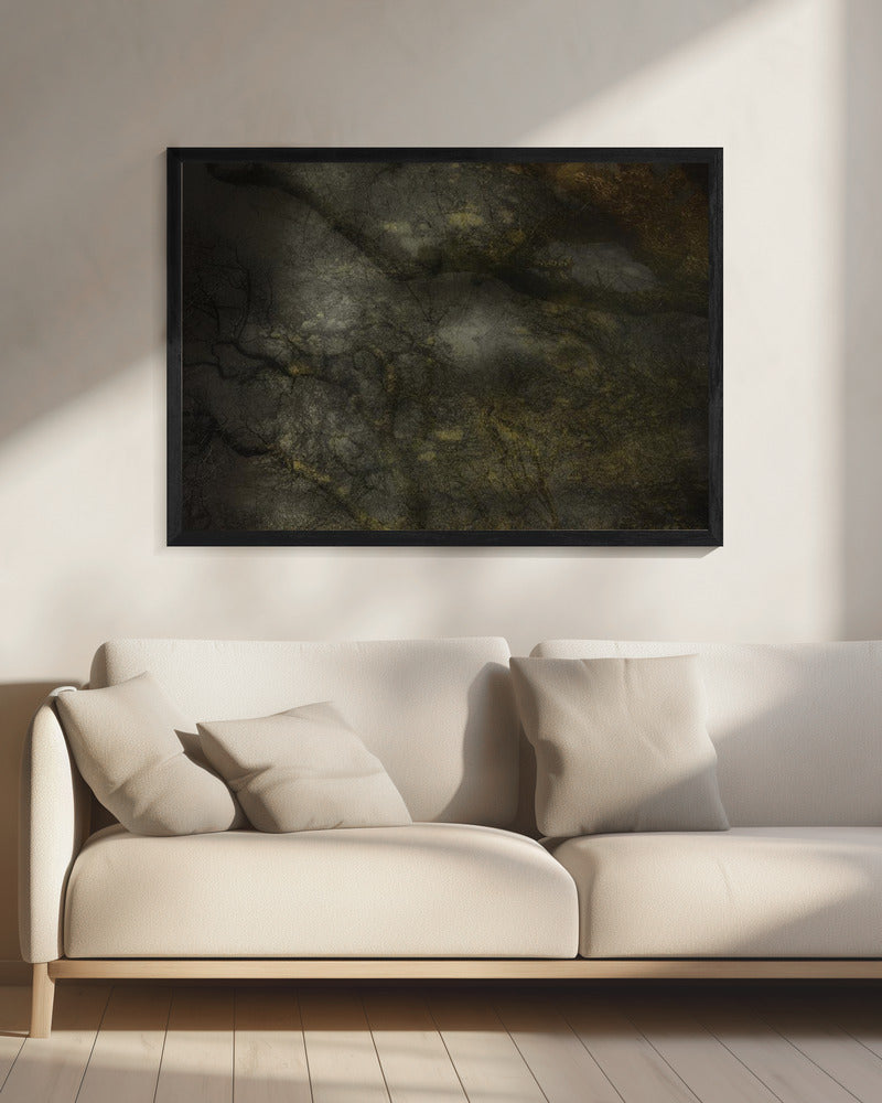 Old forrest | Canvas