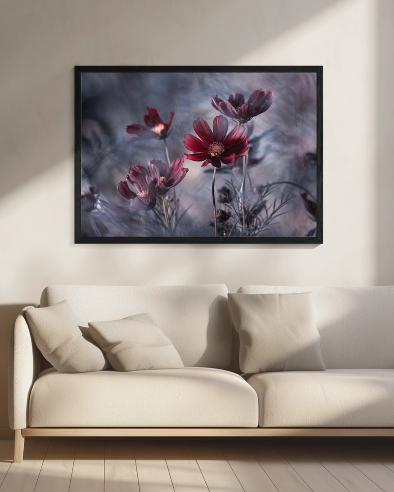 Cosmoslicious | Canvas