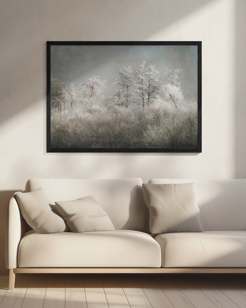 Cold morning | Canvas