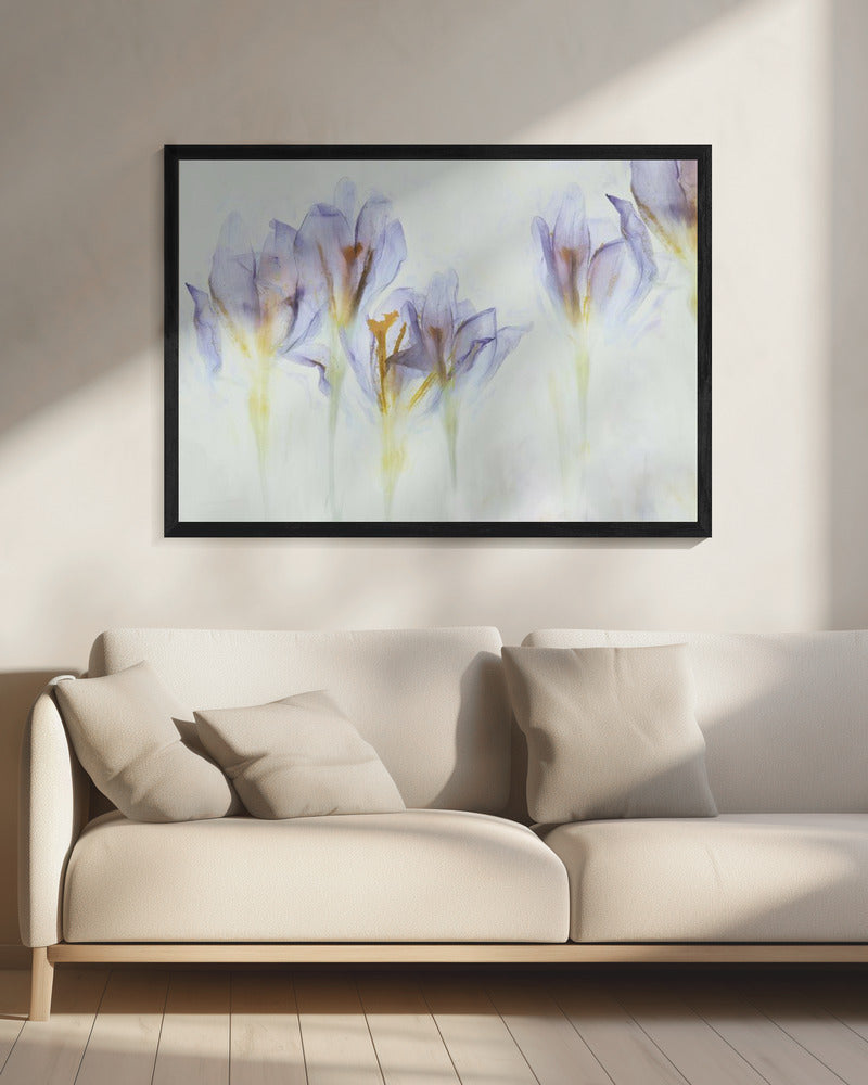 Spring | Canvas