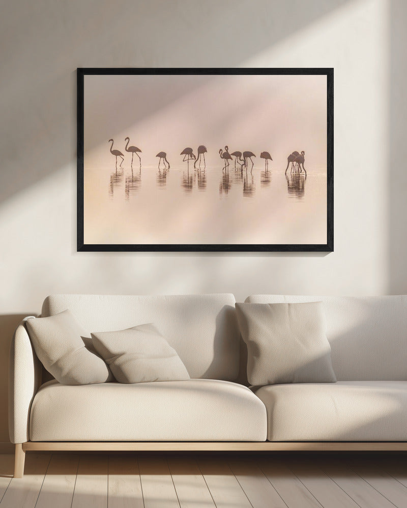 Flamingos in the mist | Canvas