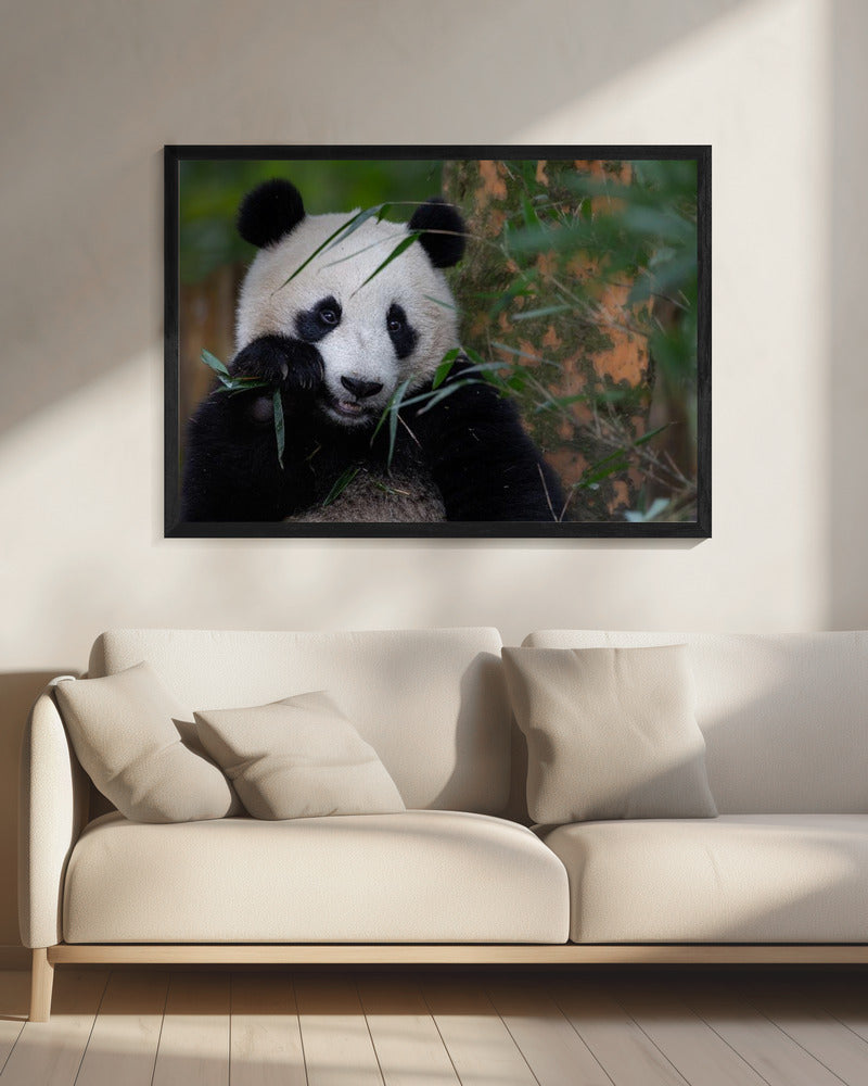 Bamboo Time | Canvas