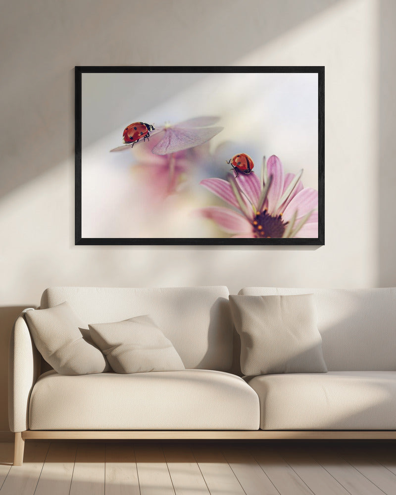 Last days of summer | Canvas