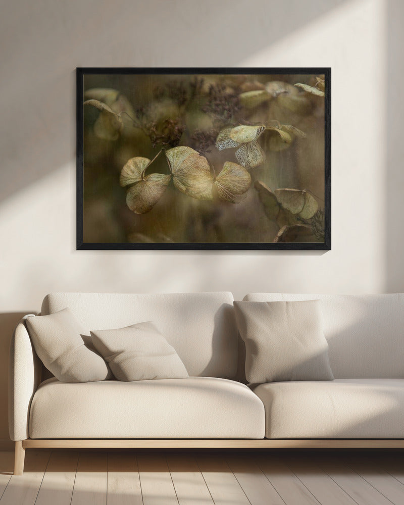 Winter is coming | Canvas