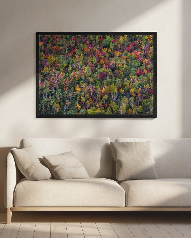 Color palette | Canvas