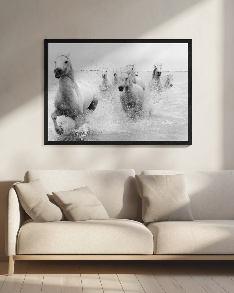 We are coming | Canvas