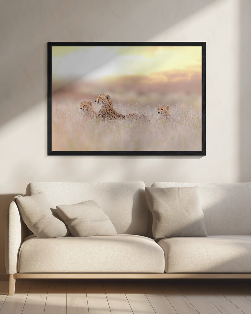 Cheetah Family | Canvas