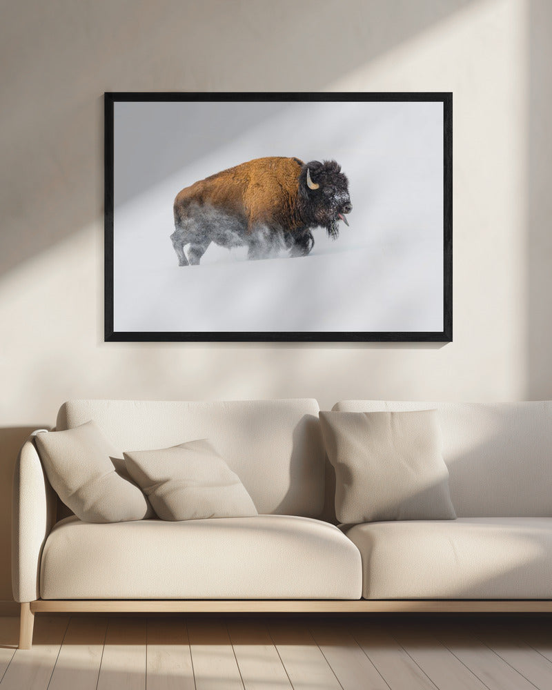 Bison in the Snow | Canvas