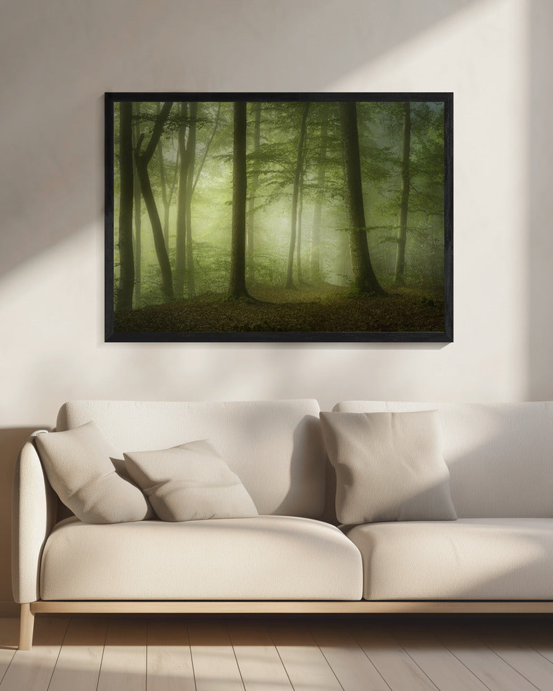 Mysterious Spring Morning | Canvas