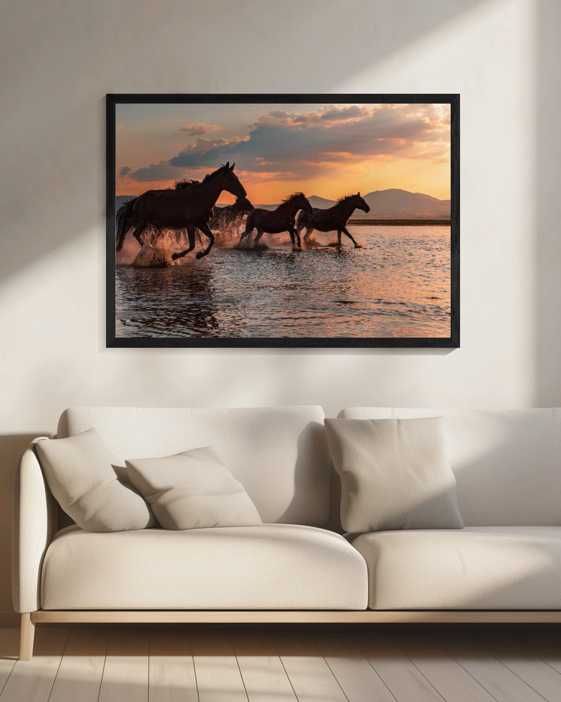 WATER HORSES | Canvas