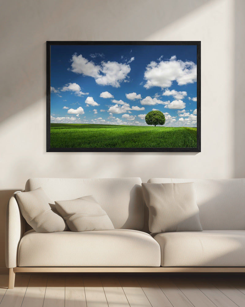 Lonely Tree | Canvas