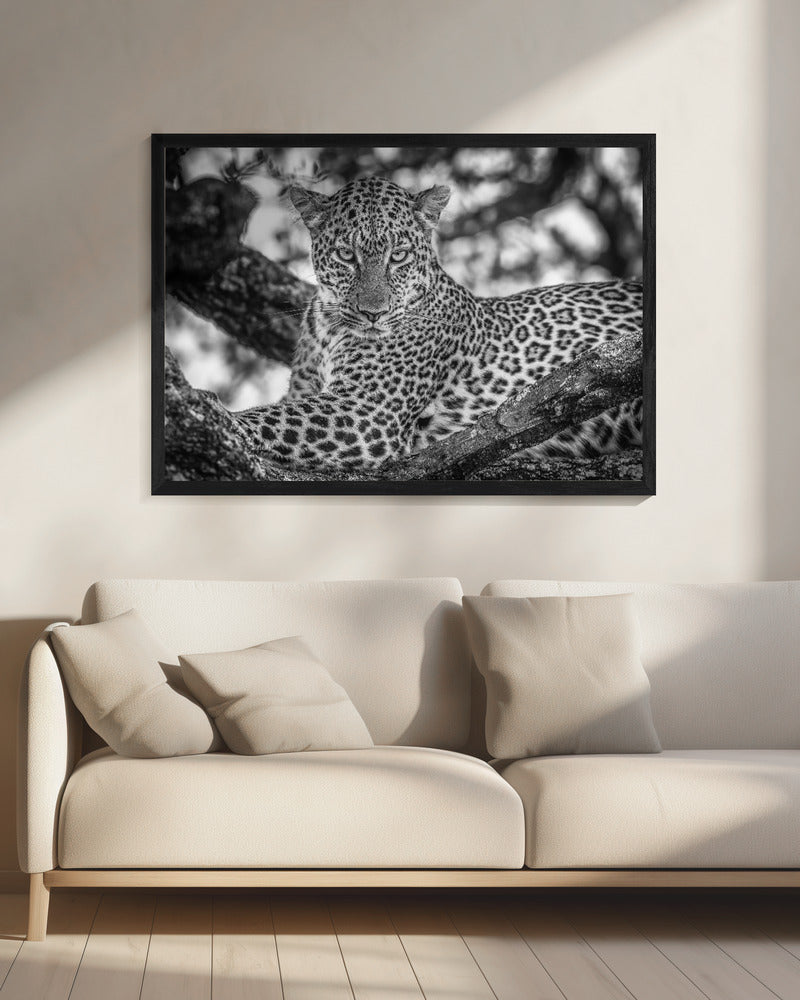 Monochrome beauty | Canvas