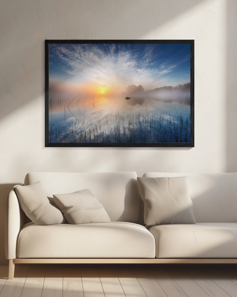 Reflection | Canvas