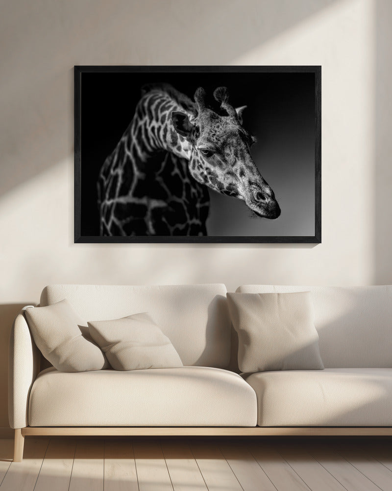 Giraffe | Canvas