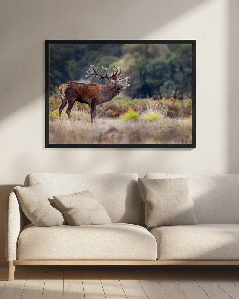 The scream of the deer | Canvas