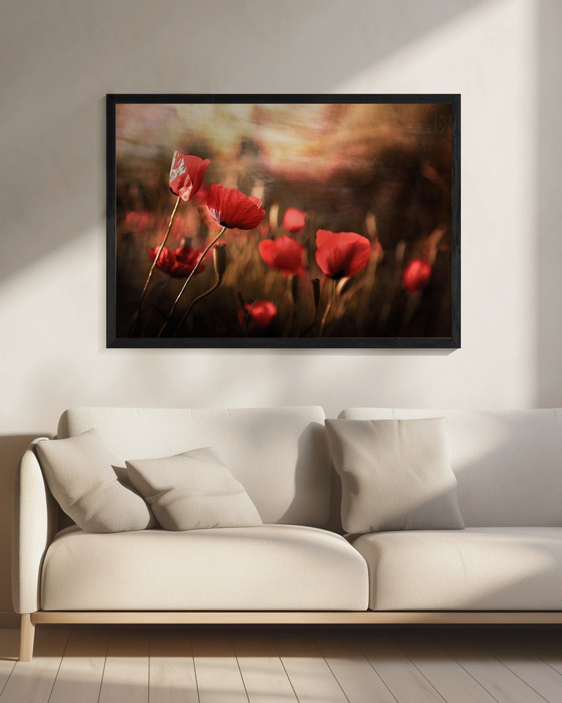 morning air | Canvas