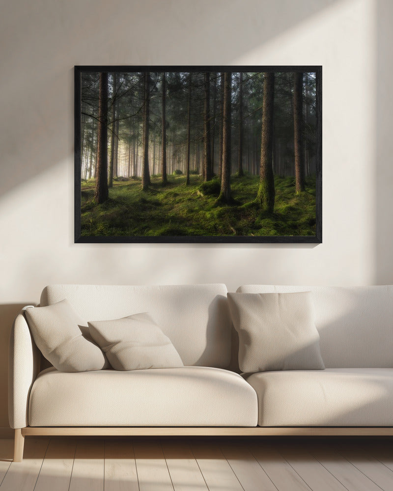 A sense of spring | Canvas