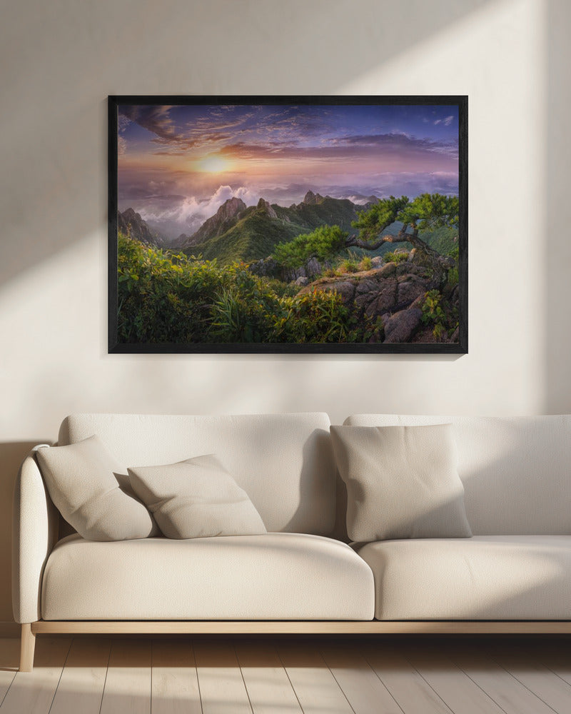 Pine tree on the rock | Canvas